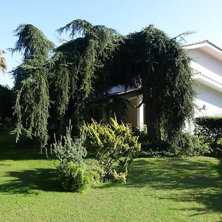 Villa Paradiso Le Rughe エクステリア 写真