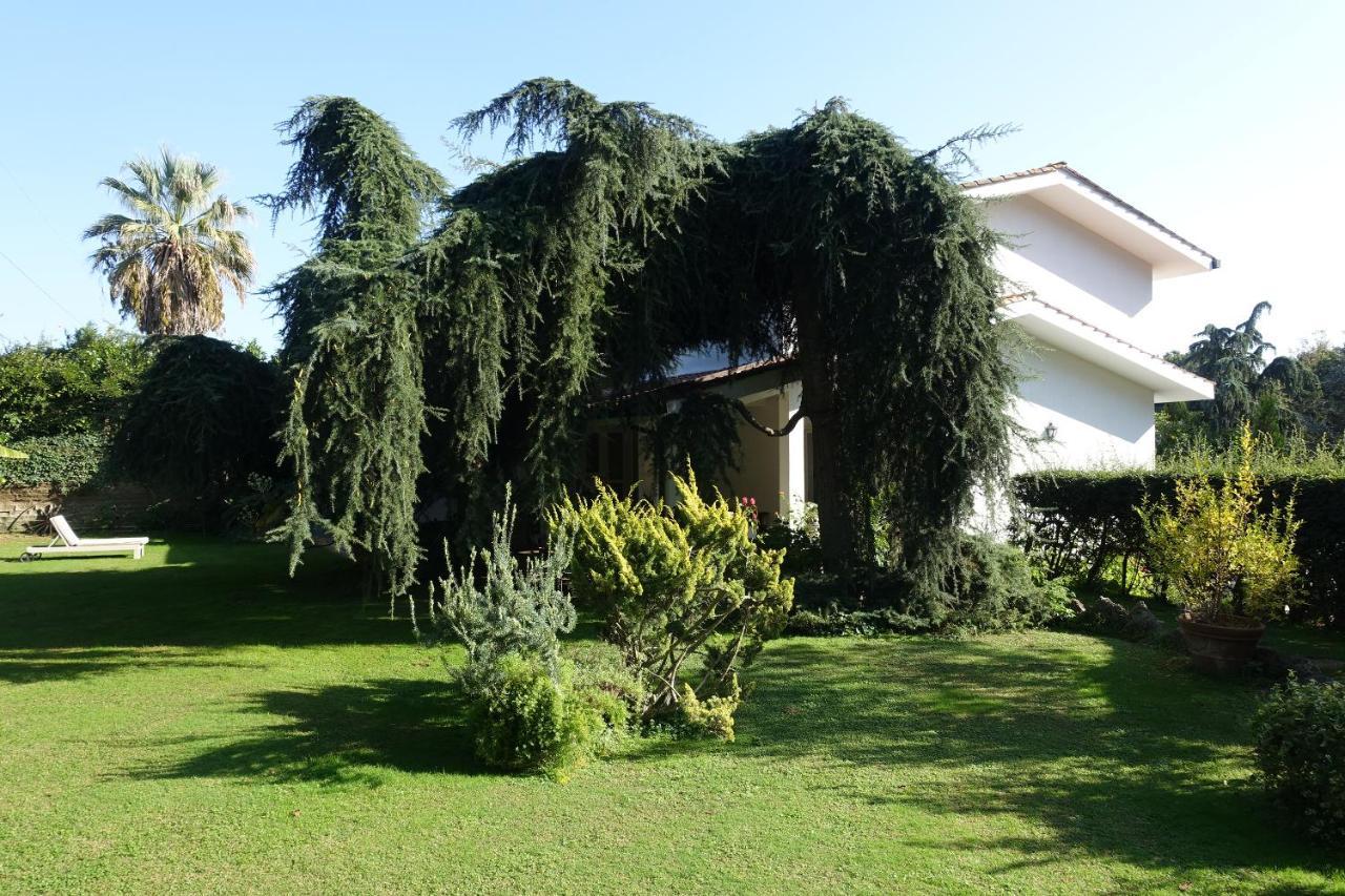 Villa Paradiso Le Rughe エクステリア 写真